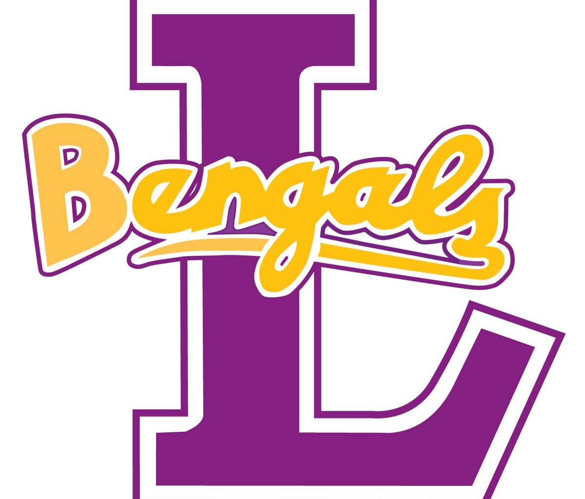 Bengals bring down Bears in boys soccer Districts
