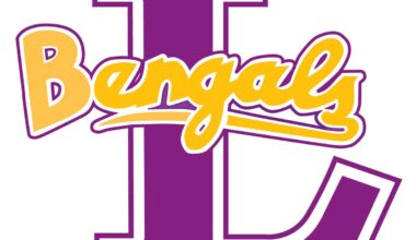 Bengals bring down Bears in boys soccer Districts