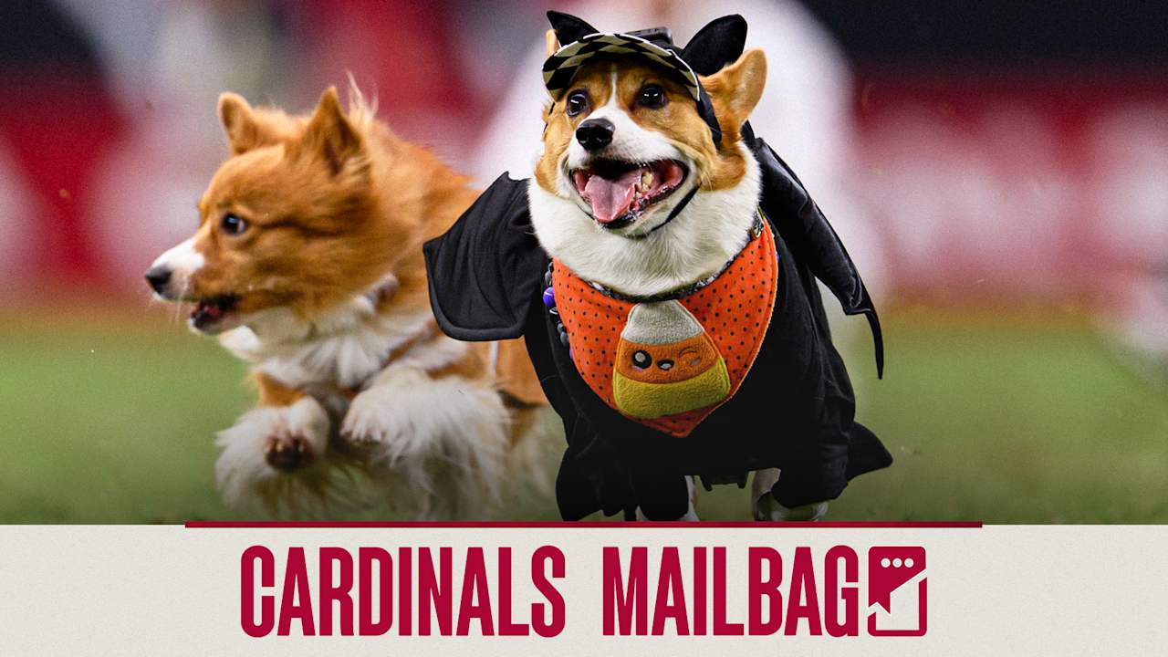 Into The Bye Week We Go