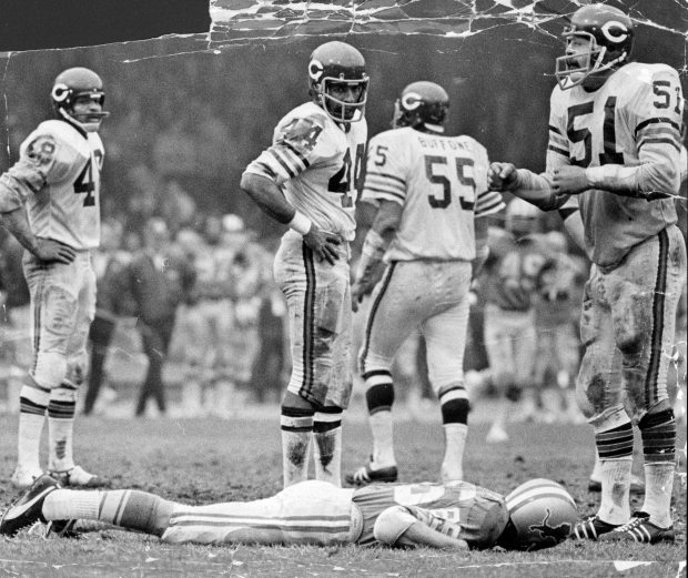 Chicago Bears defensive captain Dick Butkus (51), right, gestures helplessly and calls to the sidelines for the Detroit Lions to aid fallen teammate Chuck Hughes, who collapsed with 66 seconds left in the game on Oct. 24, 1971. Standing by are Bears defenders Ron Smith (48), Garry Lyle (44) and Doug Buffone (55). Editors note, this historic print shows age damage. (Jim DePree/Chicago Today)