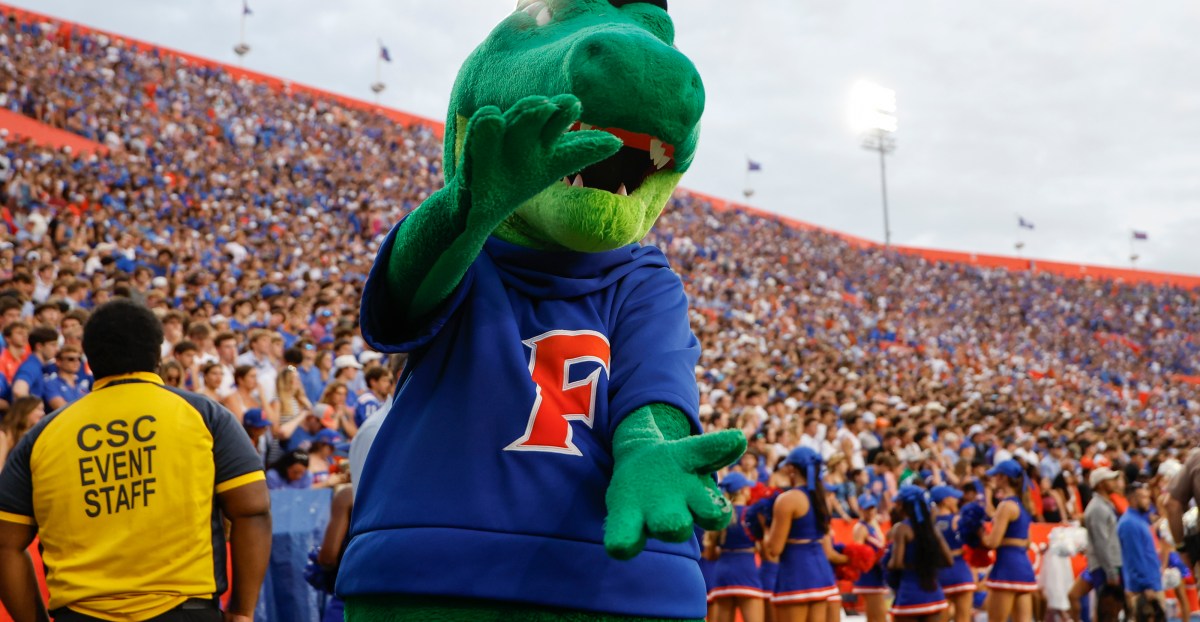 Fansville Field Trips 2025: The Swamp