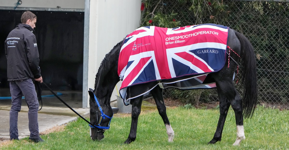 Denver Broncos open 7-point favorites over the New York Jets in Week 6