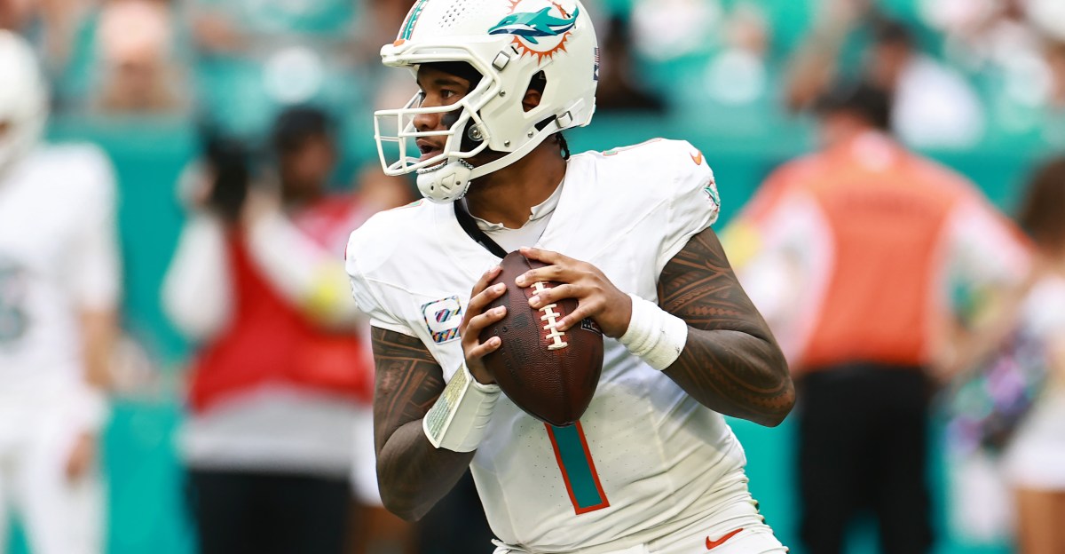Miami Dolphins News - Where did it all go wrong for the Dolphins