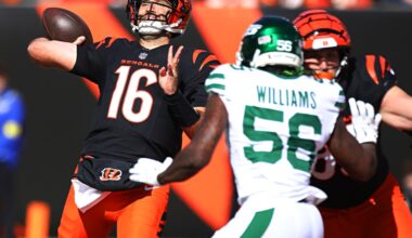 Week 9 game preview: Chicago Bears vs. Cincinnati Bengals