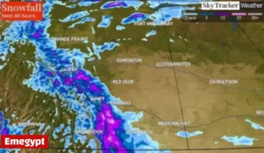 Panthers Begin Strong Season with New Faces Seamlessly Integrating