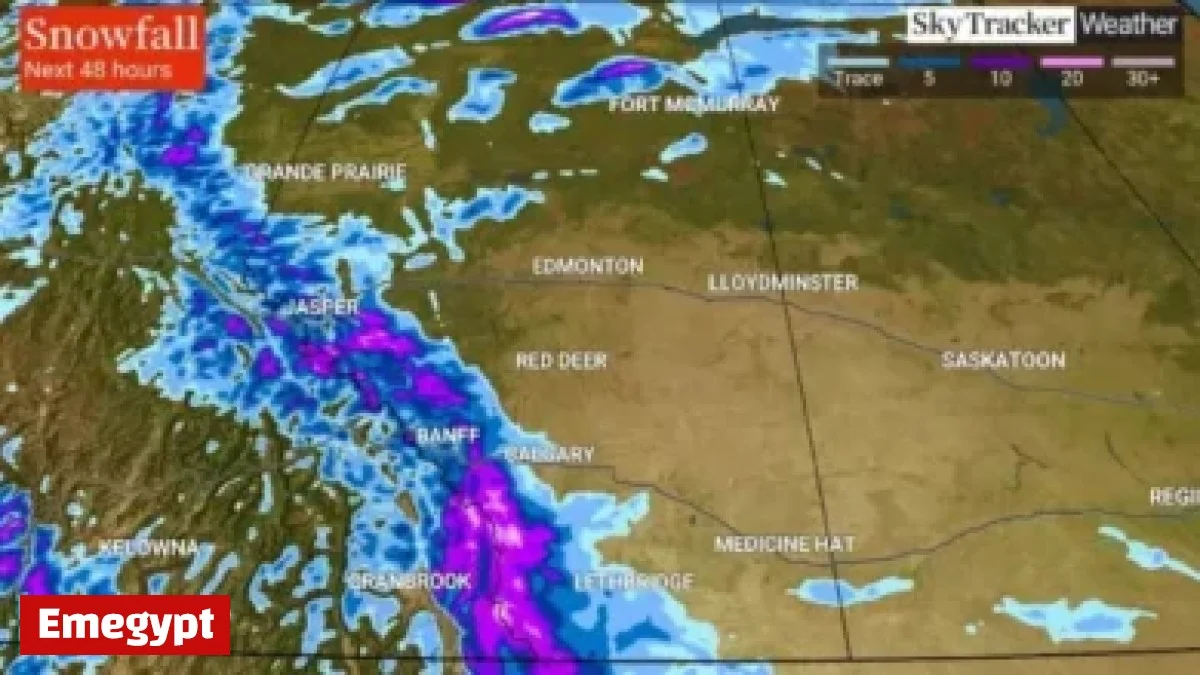 Panthers Begin Strong Season with New Faces Seamlessly Integrating