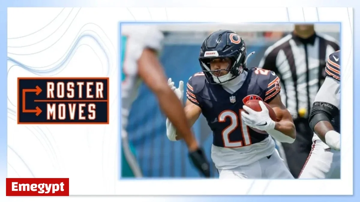 Chicago Bears Roster Update: Homer Activated and Two Players Elevated