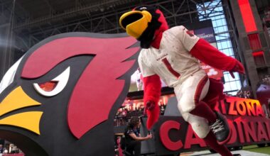 Cardinals Reacts Survey Week 5