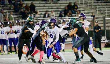 Lions Shine in Shootout as Wolverines and Bulldogs have Blowout Victories