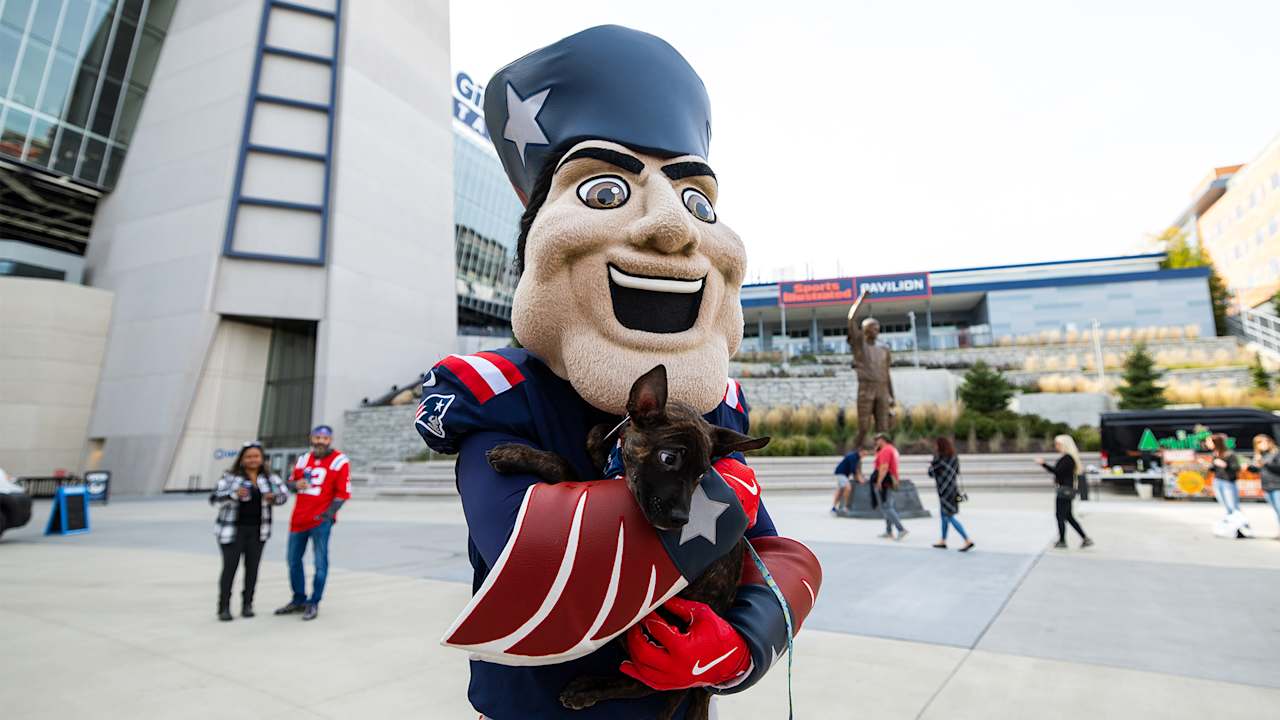 Dozens of dogs find forever home during Patriots ‘Tailgate’ watch party at Gillette Stadium