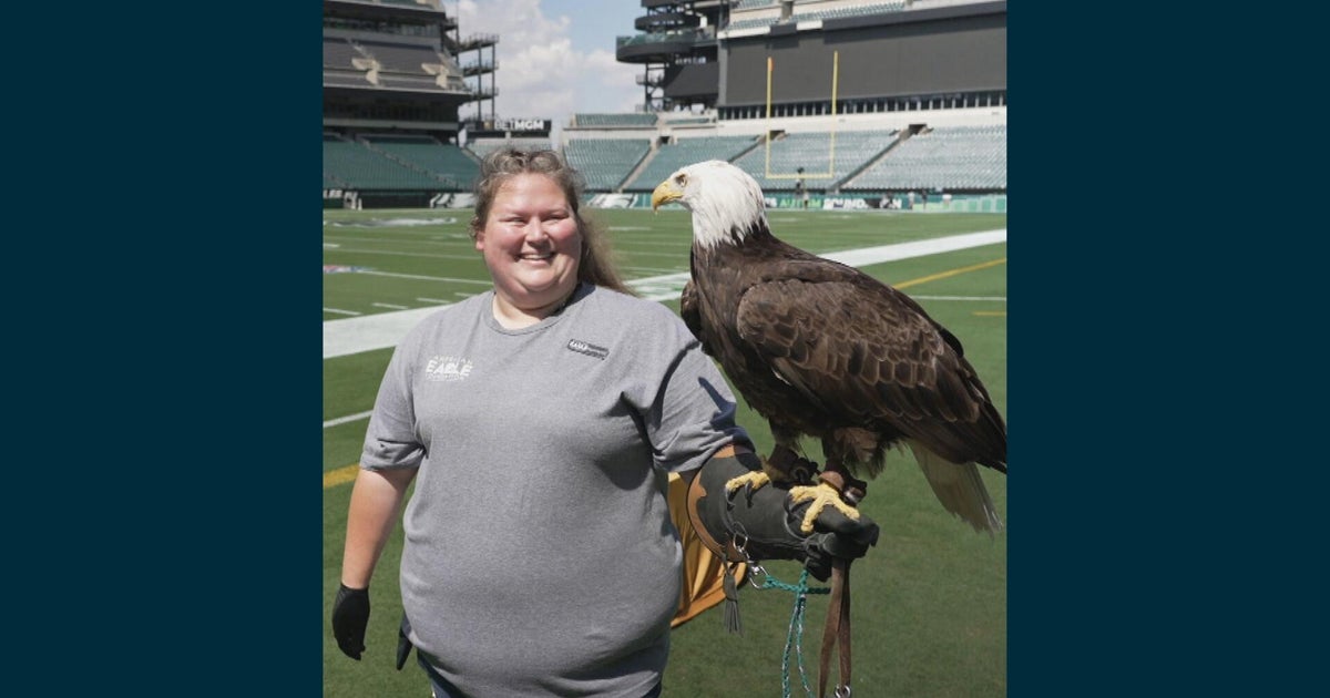 Meet Lincoln, the Philadelphia Eagles' lucky charm, specially trained to give the team an edge