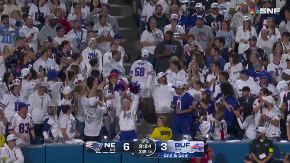 Headline: Buffalo Bills fan has bizarre reaction to catching stray ball from Josh Allen - 'maybe he doesn't want to be on TV',