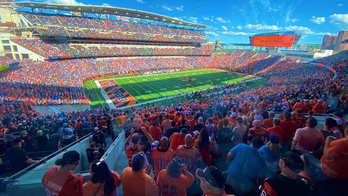 Heavy attendance from Lions fans causes disruption to Bengals' 'Stripe the Jungle' efforts