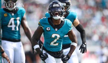 Jacksonville Jaguars 17, Houston Texans 10