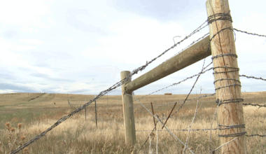 Broncos pass on Lone Tree property for stadium. So what's next?