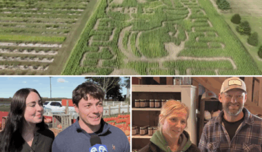 Going inside the Amon-Ra St. Brown corn maze at Krep's Apple Barn and Cider Mill