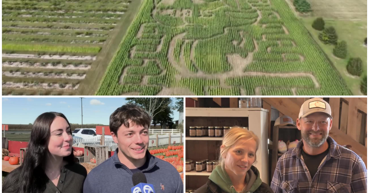 Going inside the Amon-Ra St. Brown corn maze at Krep's Apple Barn and Cider Mill