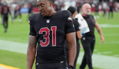 Cardinals' Demercado becomes 2nd player in as many weeks to lose ball at goal line for touchback