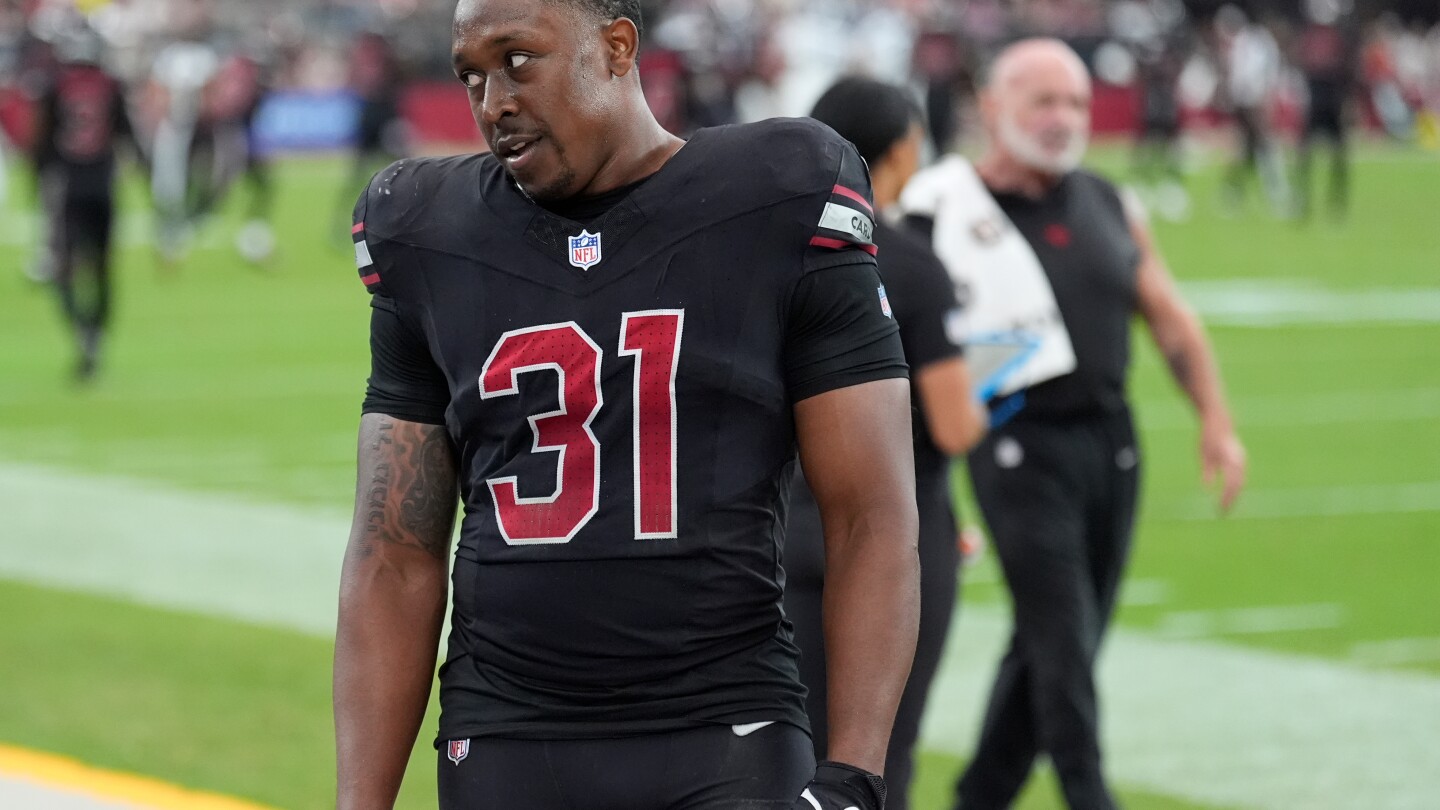 Cardinals' Demercado becomes 2nd player in as many weeks to lose ball at goal line for touchback