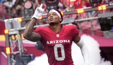 Cardinals' Will Johnson Is Who We Thought He Was (NFL)