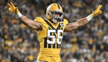 Pittsburgh Steelers Defense Loses Star for Bears Game