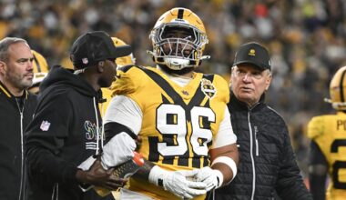 NFL Suspends Injured Steelers DT