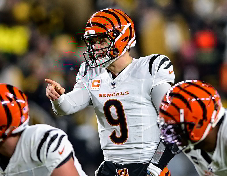 Pittsburgh Steelers QB Joe Burrow