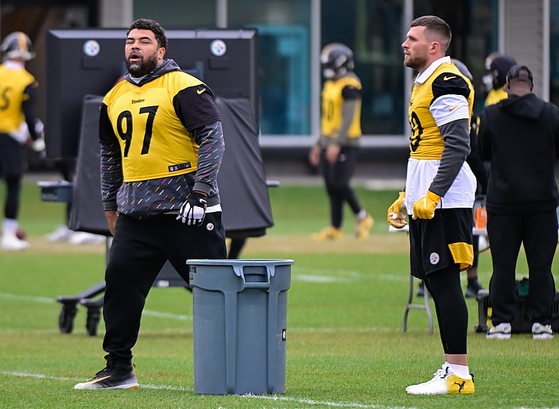 Pittsburgh Steelers DT Cam heyward