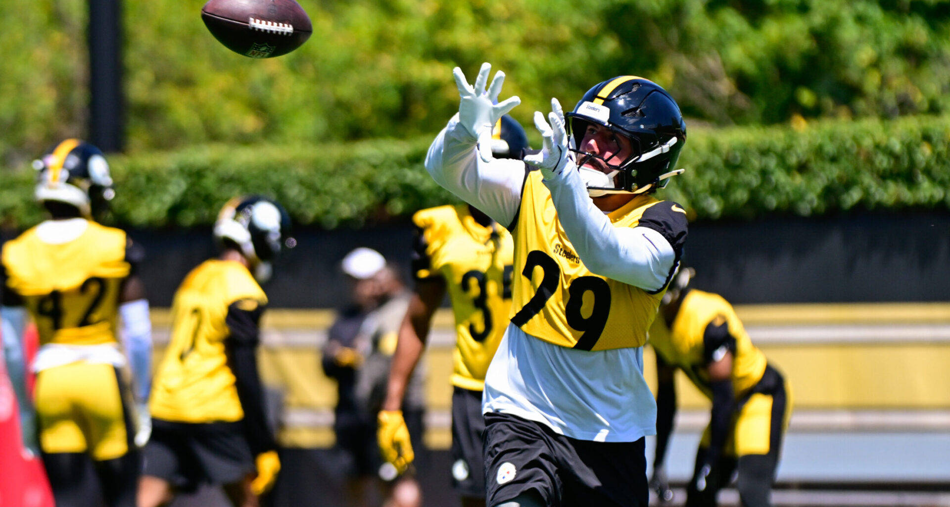 Former Steelers Training Camp Darling Back on Market