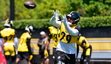 Former Steelers Training Camp Darling Back on Market