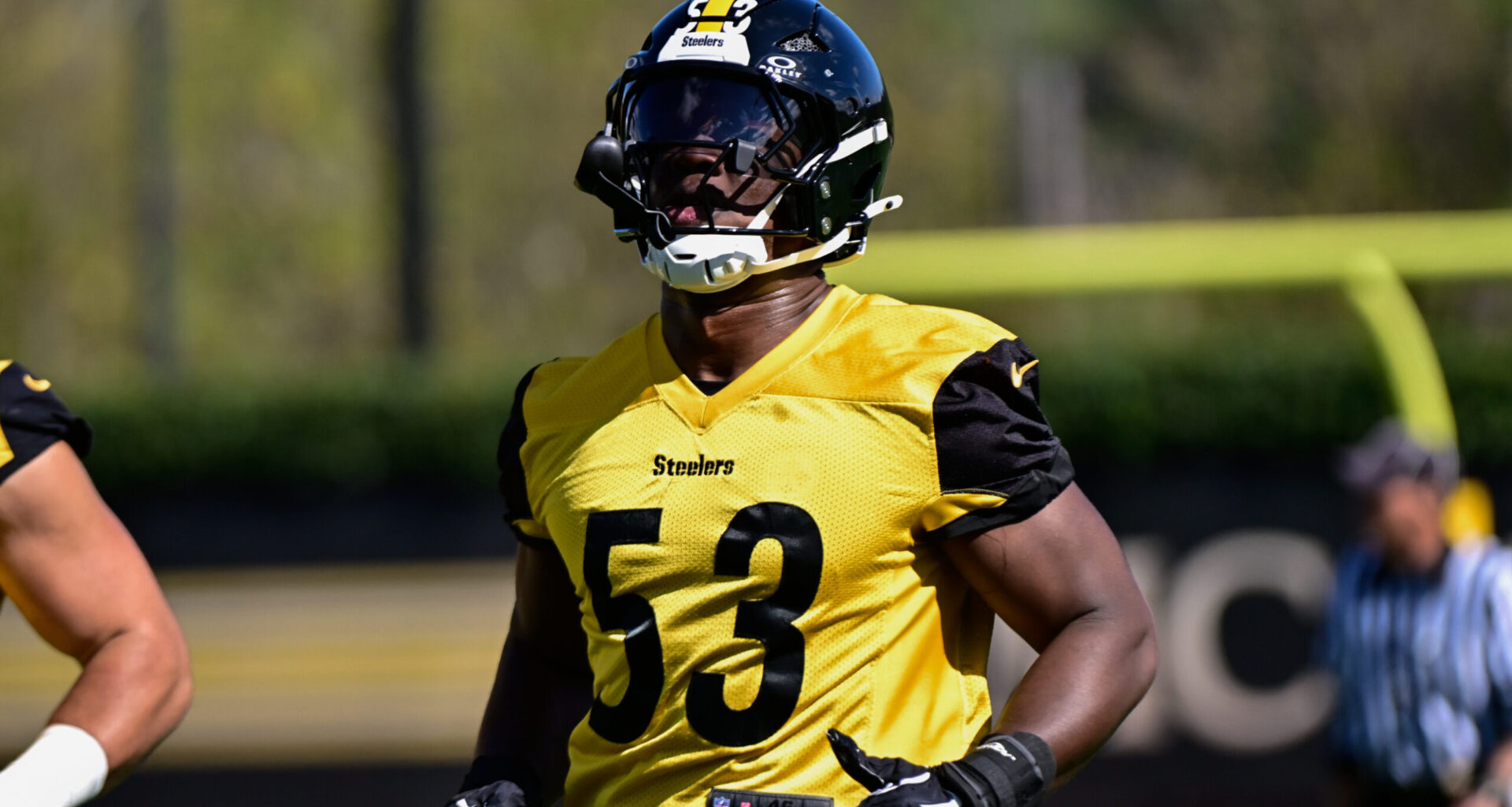 Browns Snap Up Recently Released Steelers Edge Rusher