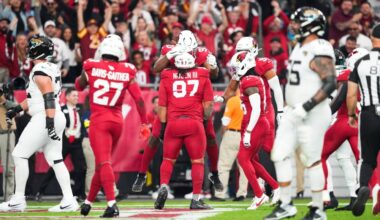 Cardinals four takeaways not enough in 27-24 loss to Jaguars