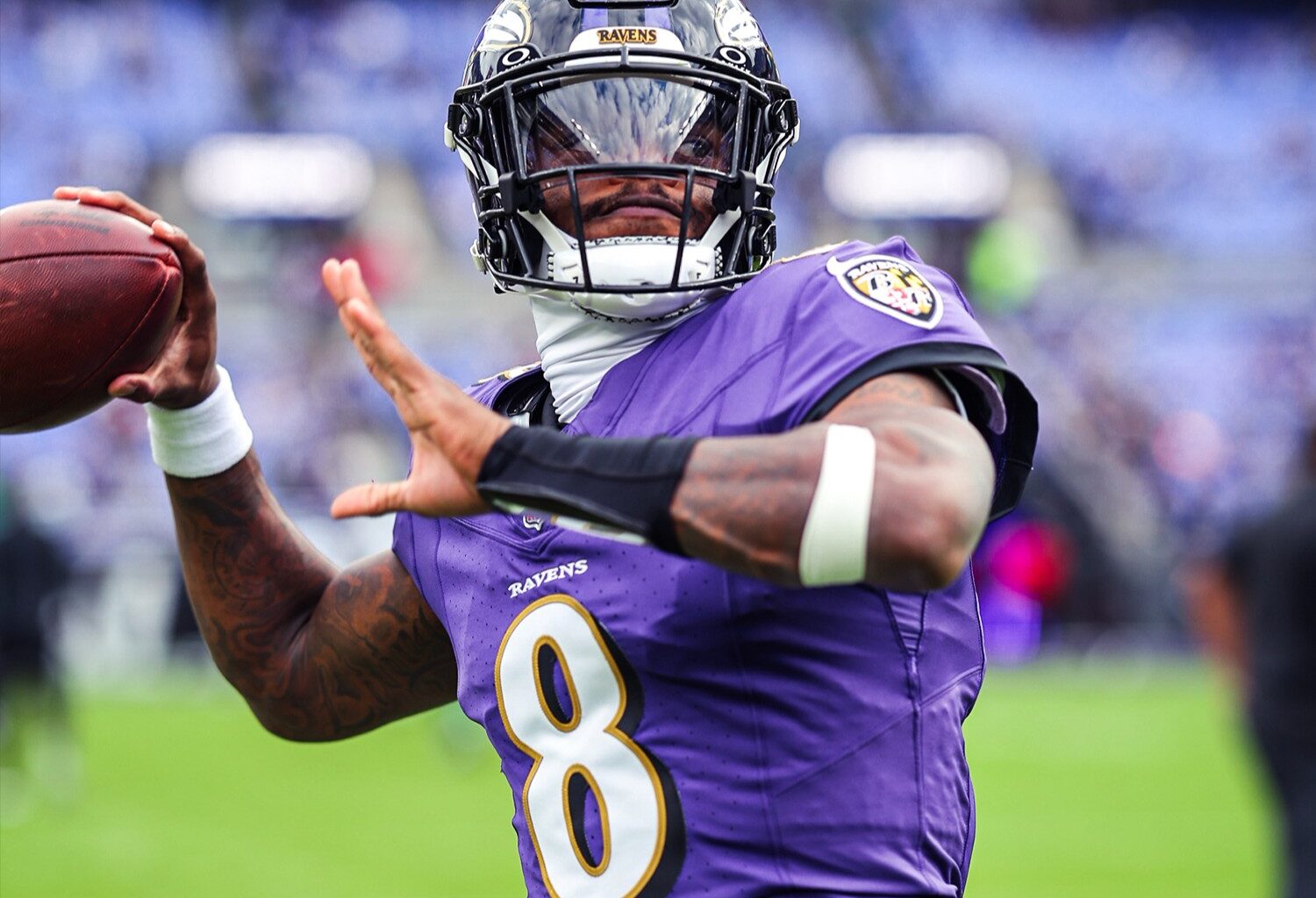 How do Ravens fans feel about their team?