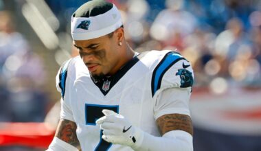 Key Panthers player suspended for punching opponent during 49ers game