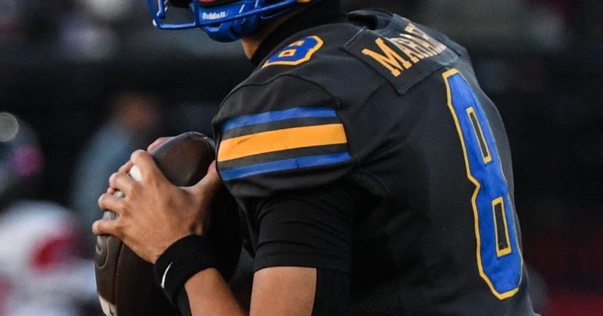 BGA's Marable leads 3 WillCo Mr. Football semifinalists | Sports