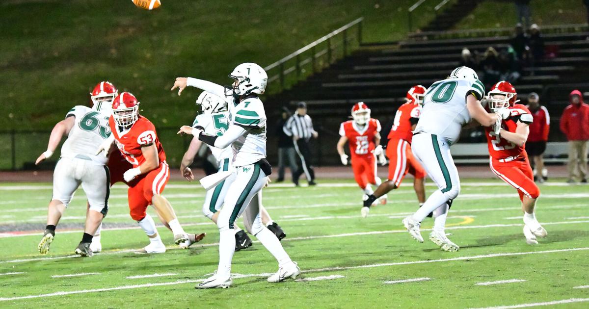 Hornets stumble against Troy in playoffs | Free Press-Courier