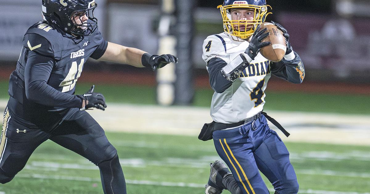 Indians fall to Tigers in playoffs | Free Press-Courier