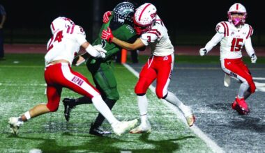 High school football playoffs: Hawks survive upset bid by No. 7 Ripon | Sports