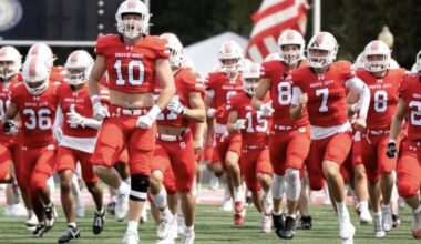 Wolverines win 7th straight game; will play Hanover in NCAA Div. III playoffs | Sports