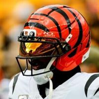 Bengals' Chase banned for one game over spitting incident | National