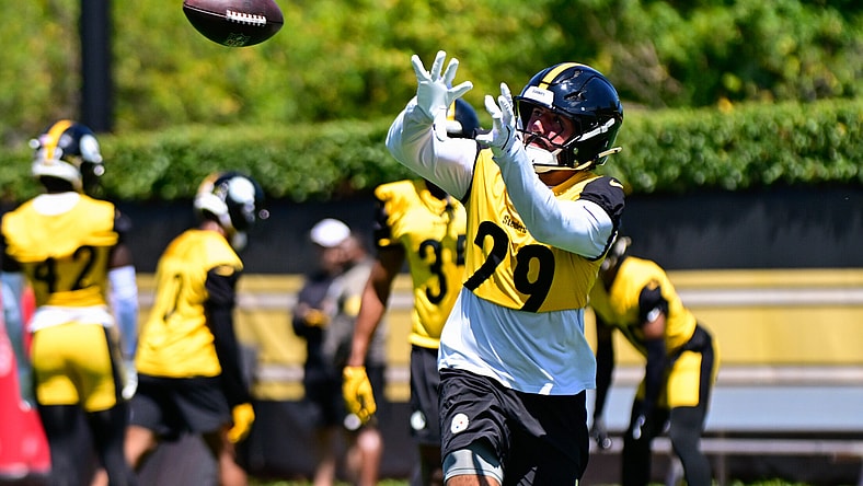 Pittsburgh Steelers S Sebastian Castro