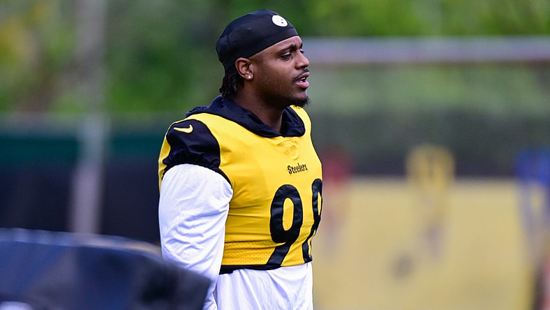 Pittsburgh Steelers DeMarvin Leal