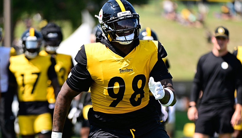 Pittsburgh Steelers OLB DeMarvin Leal