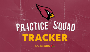 Arizona Cardinals sign RB to practice squad in Week 13