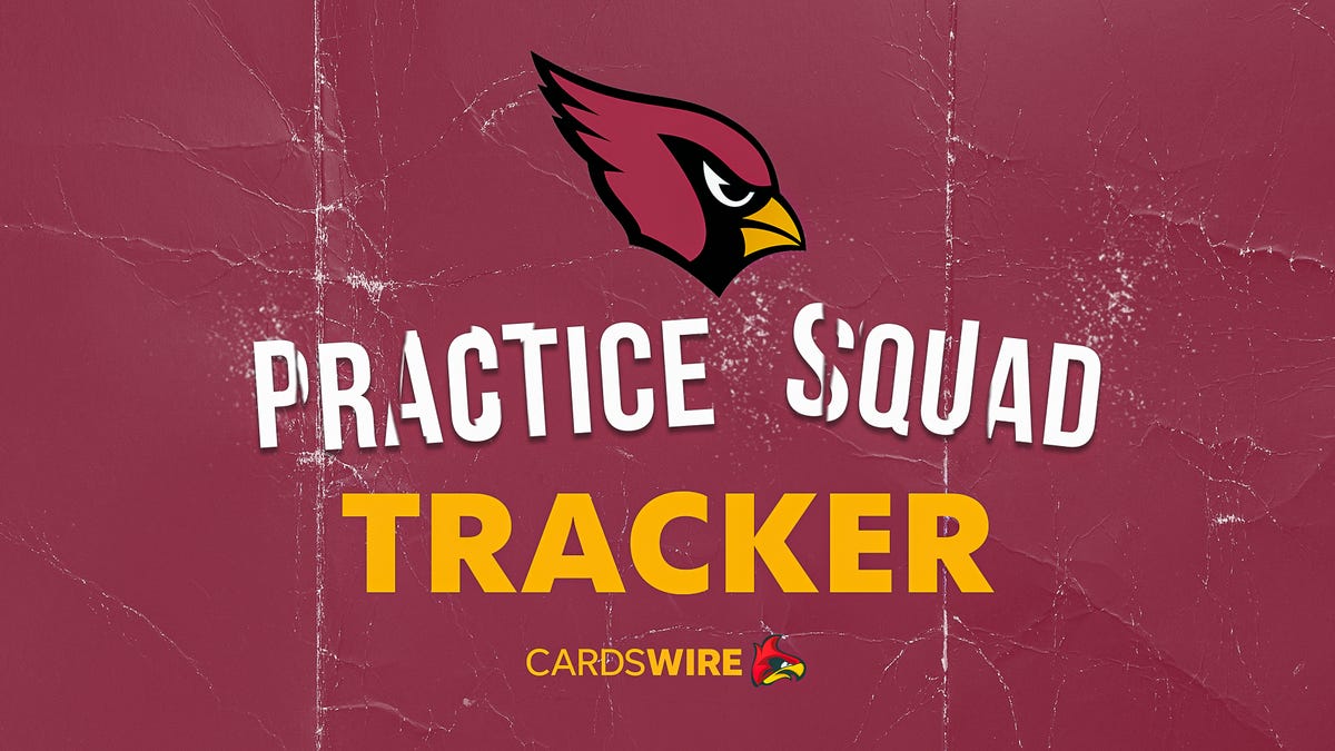 Arizona Cardinals sign RB to practice squad in Week 13