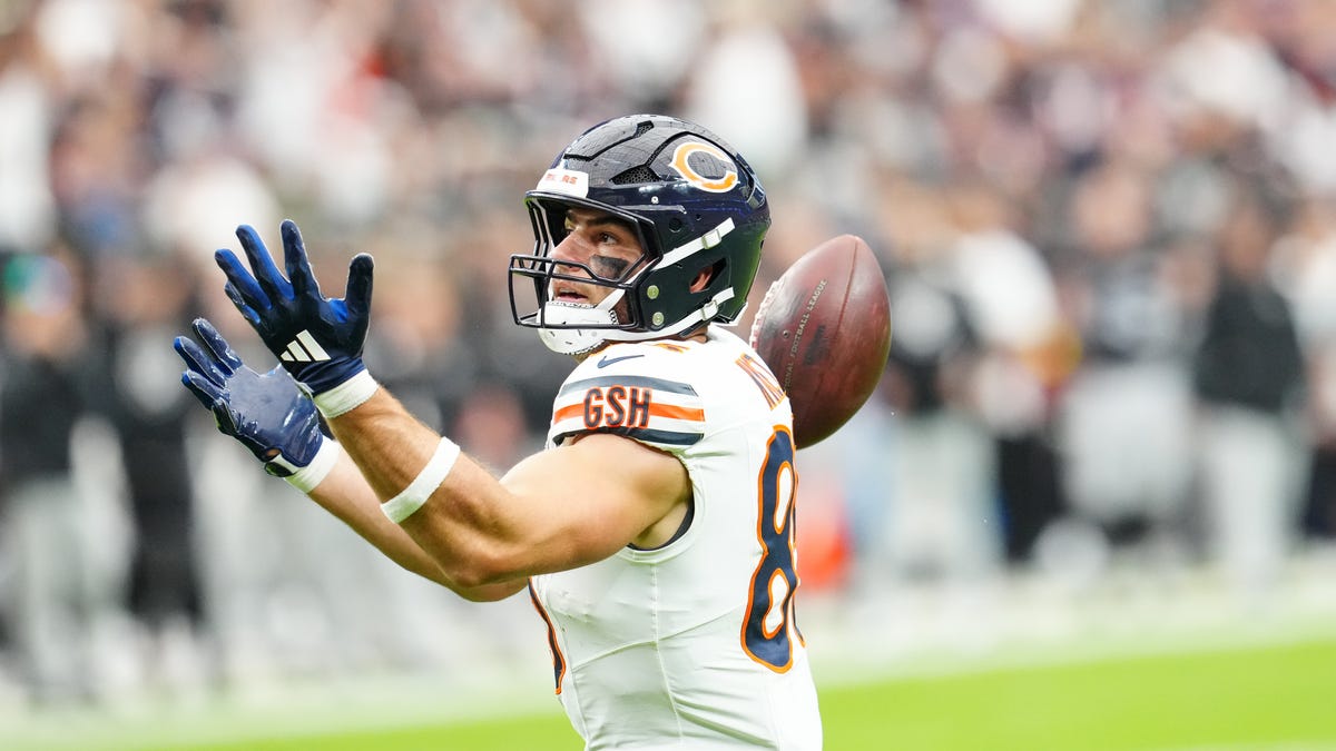 Bears tight end Cole Kmet injures head/neck vs Bengals in NFL Week 9