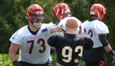 Atlanta Falcons sign Andrew Stueber, cut Parker Romo