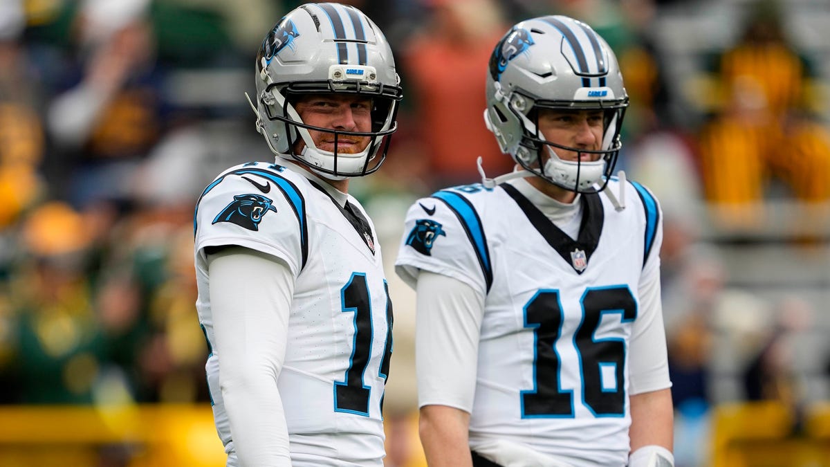 QB Mike White released, rookie DL signed