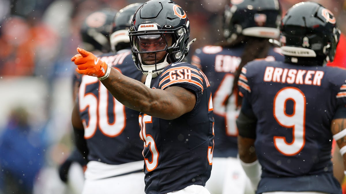 Bears vs. Vikings predictions, picks, odds for NFL Week 11 game