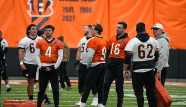 Bengals' odds to make playoffs, land 2026 NFL draft top-5 pick updated